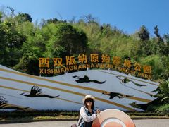 -西双版纳原始森林公园