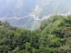 -四明山国家森林公园
