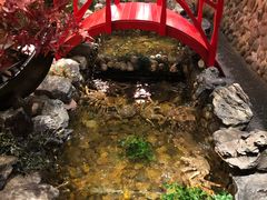 -綱元·海鲜豆捞(明州里店)