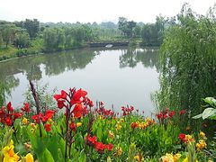 -白鹭湾湿地公园