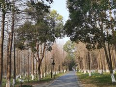 -西溪国家湿地公园