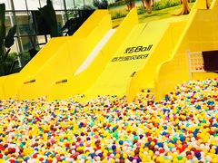 -南宫五洲植物乐园