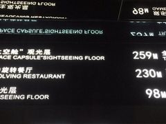 -东方明珠广播电视塔