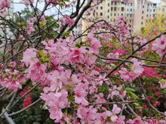 -小南山公园