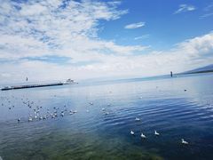 -青海湖国家重点风景名胜区