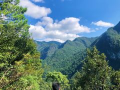 -武陵山森林公园