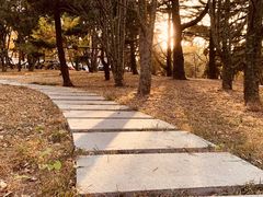 -八大关景区