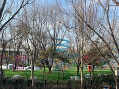 -太阳宫公园