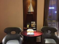 -成都明宇丽雅饭店