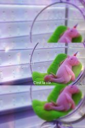 大厅-P.STYLE 派斯造型