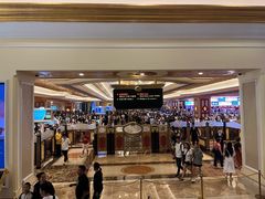 -澳门威尼斯人综合度假区