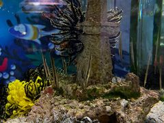 -太平洋海底世界