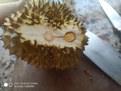 -大连果菜批发市场