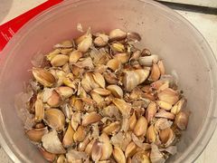 -正宗襄阳一桥陈家牛肉面