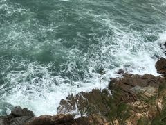 -广东惠东海龟国家级自然保护区