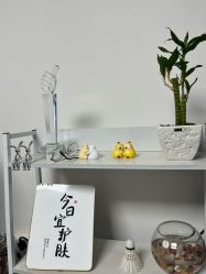 -程氏苗堂苗技养生