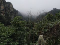-庐山碧龙潭风景区