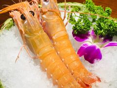 南极鳌虾-旨料亭日本料理(四川北路店)