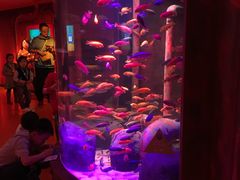 -沈阳海洋探索中心