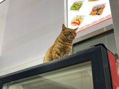 -玉华饮食店(茅台路店)