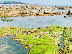 -青岛第二海水浴场