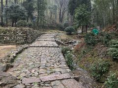 -仙霞关景区