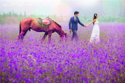 -伊诺摄影(徐州优选店)