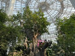 -郑州植物园