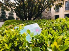 -上海外国语大学(虹口校区)