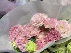 -循礼门鲜花花市(武汉循礼门店)