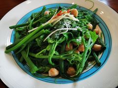 清炒南瓜尖儿-巴依老爷新疆美食(常营店)