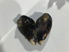 -阿军排档·烧烤