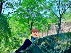 -秦岭终南山世界地质公园翠华山景区