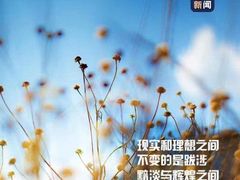 -自游人·美食一楼·地道徽菜(三十年名店)
