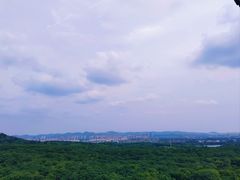 -灵谷景区