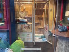 -府学·秋果S酒店(北京南锣鼓巷四合院店)