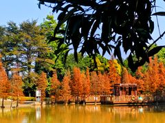 -神光山国家森林公园