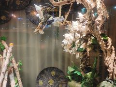 -松临·铁板烧&Omakase(神农店)