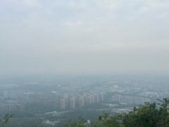 -杭州半山国家森林公园