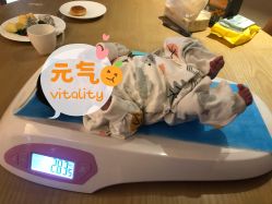 -大美臻喜母婴(南坪店)