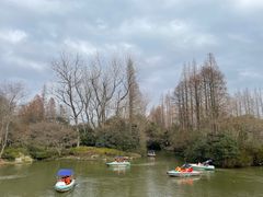 -上海滨江森林公园