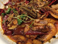 -寂寞的豆芽 蒙古原切大串(金宇店)