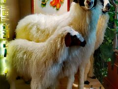 -百草滩羊清水涮羊肉·清真·宁夏盐池滩羊(莲花桥店)
