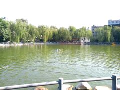 -莲湖公园