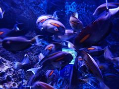 -成都浩海立方海洋公园