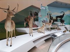 -陕西自然博物馆