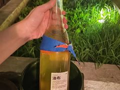 -毛辣果·酸