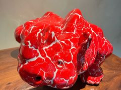 -花城苑广府菜(侨鑫店)