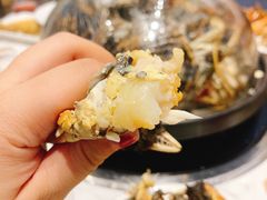 -半岛听涛蒸汽海鲜自助(K11店)
