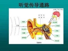 -AudioNova 海之声助听器峰力助听器索诺瓦自营店(北京店)